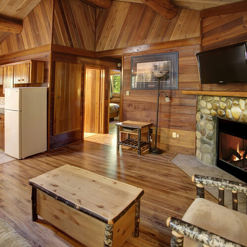 Rustic Cottage showing the living room and fireplace