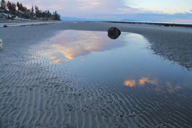 Vancouver Island  Analarai Beach Reflection