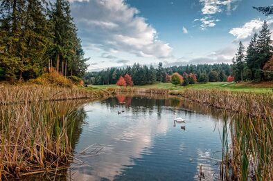 Vancouver Island  Fairwinds Water Golf